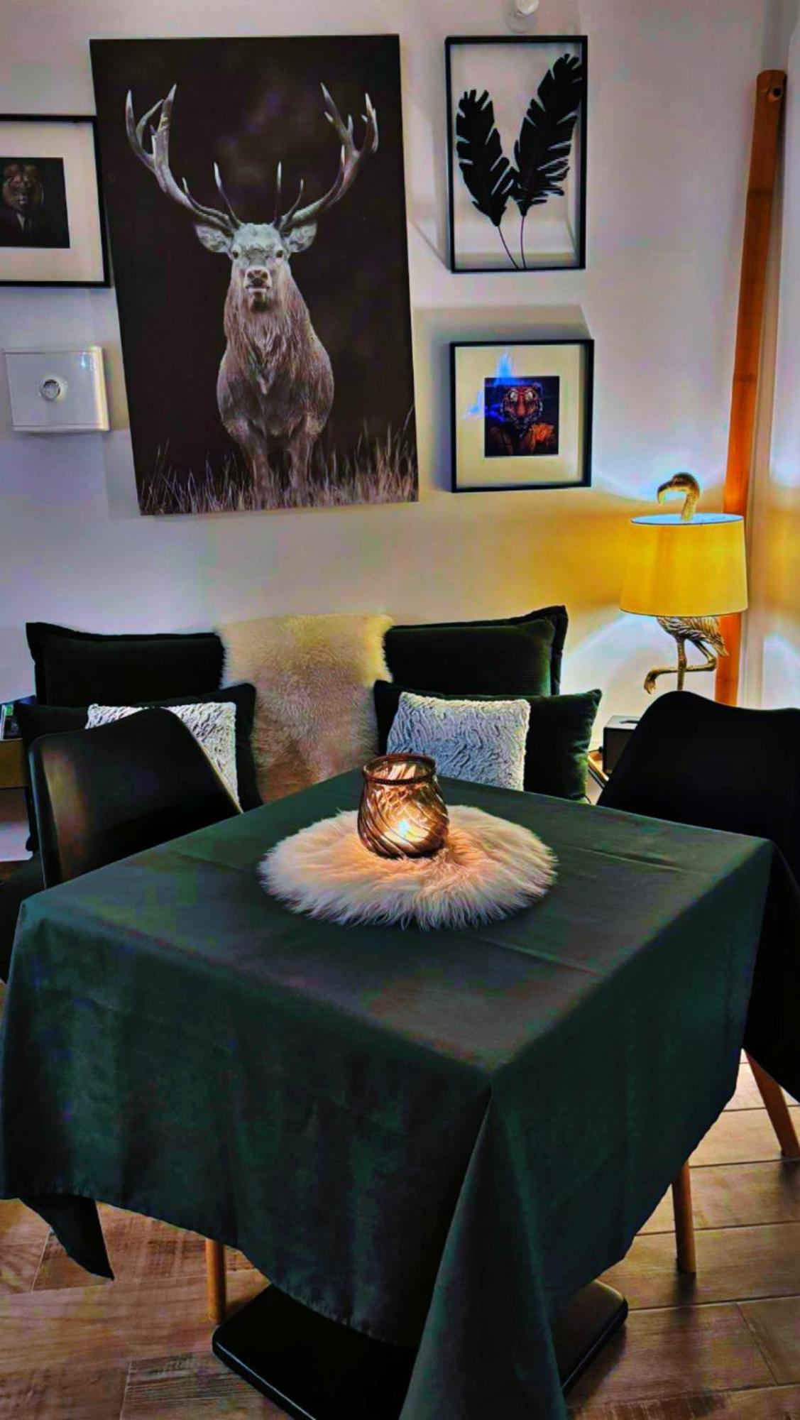 Bambou Room Vauvert Extérieur photo